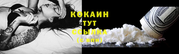 дживик Наволоки