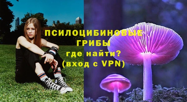 дживик Наволоки