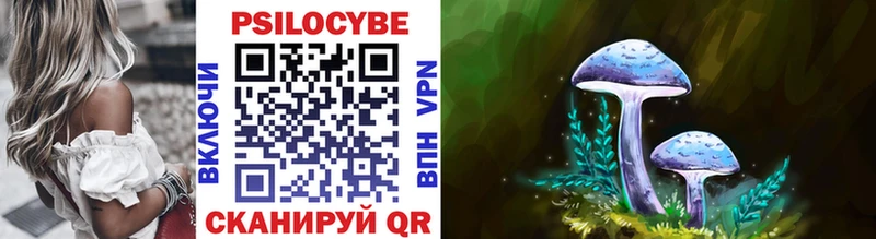 Галлюциногенные грибы Psilocybine cubensis  Тамбов 