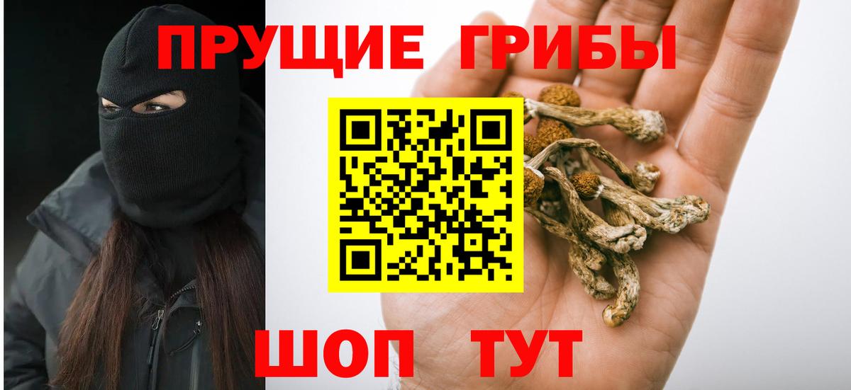 дарнет шоп  Галлюциногенные грибы GOLDEN TEACHER  Вход с VPN  Тамбов 